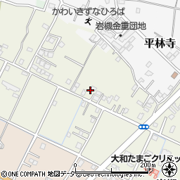 埼玉県さいたま市岩槻区岩槻5411周辺の地図