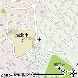 埼玉県さいたま市岩槻区岩槻6706周辺の地図
