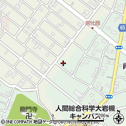 埼玉県さいたま市岩槻区岩槻6732周辺の地図