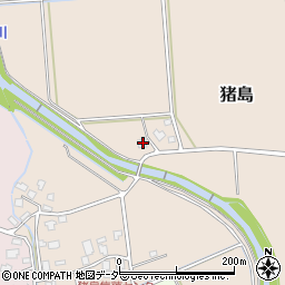 福井県大野市猪島24周辺の地図