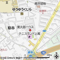 埼玉県上尾市原市3873-12周辺の地図