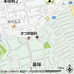 埼玉県春日部市藤塚339周辺の地図