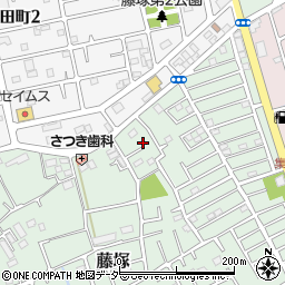 埼玉県春日部市藤塚293周辺の地図