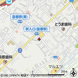 埼玉県春日部市上蛭田580周辺の地図