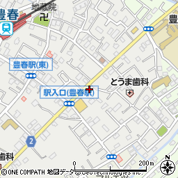 埼玉県春日部市上蛭田482周辺の地図