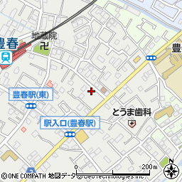 埼玉県春日部市上蛭田507周辺の地図