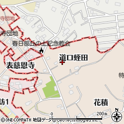 埼玉県春日部市道口蛭田35周辺の地図