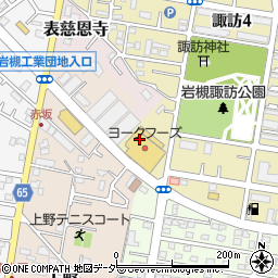 サンドラッグ東岩槻店周辺の地図