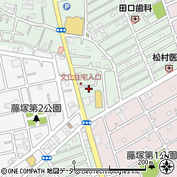 埼玉県春日部市藤塚2377周辺の地図