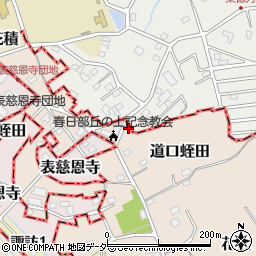 埼玉県春日部市道口蛭田17周辺の地図