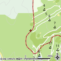 埼玉県秩父市荒川小野原1097周辺の地図