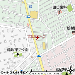 埼玉県春日部市藤塚2376周辺の地図
