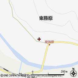 福井県大野市東勝原10周辺の地図