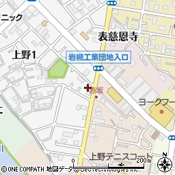 シャディサラダ館岩槻上野店周辺の地図