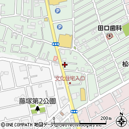 埼玉県春日部市藤塚2359周辺の地図