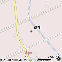 福井県大野市蕨生周辺の地図