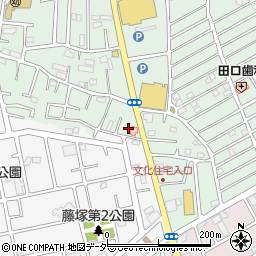 埼玉県春日部市藤塚1053周辺の地図
