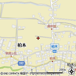 長野県諏訪郡原村柏木周辺の地図