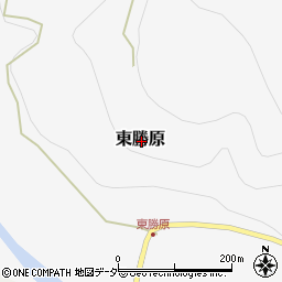 福井県大野市東勝原周辺の地図