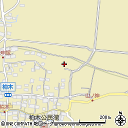 長野県諏訪郡原村8006周辺の地図