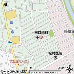 埼玉県春日部市藤塚2171周辺の地図