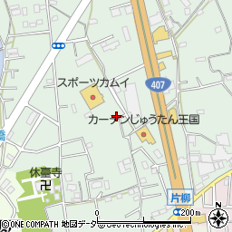 埼玉県坂戸市片柳2245-6周辺の地図