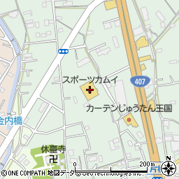 埼玉県坂戸市片柳2211周辺の地図