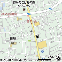 埼玉県春日部市藤塚1194周辺の地図