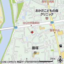 埼玉県春日部市藤塚2909周辺の地図