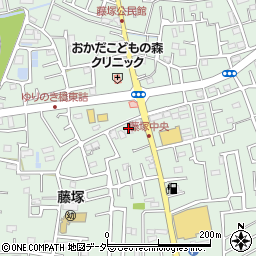 埼玉県春日部市藤塚1201周辺の地図