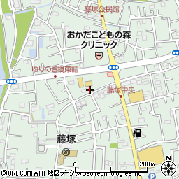 埼玉県春日部市藤塚1207周辺の地図