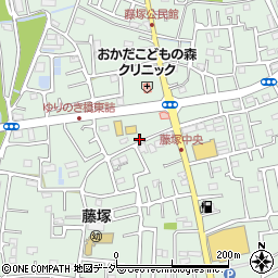 埼玉県春日部市藤塚2893周辺の地図