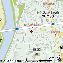 埼玉県春日部市藤塚2906周辺の地図