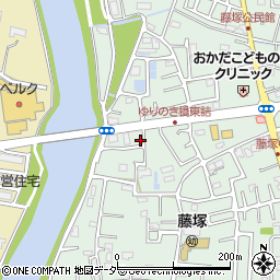 埼玉県春日部市藤塚2919周辺の地図