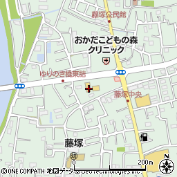 埼玉県春日部市藤塚2898周辺の地図
