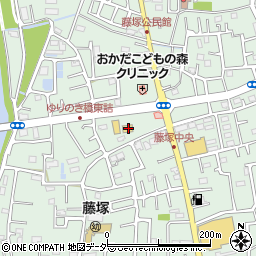 埼玉県春日部市藤塚2895周辺の地図