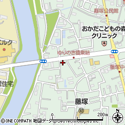埼玉県春日部市藤塚2917周辺の地図