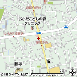 埼玉県春日部市藤塚1203周辺の地図
