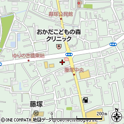 埼玉県春日部市藤塚2890周辺の地図