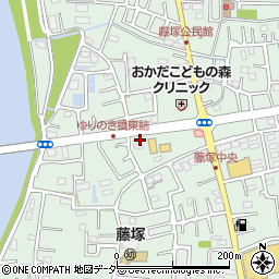 埼玉県春日部市藤塚2900周辺の地図