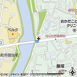 埼玉県春日部市藤塚2852周辺の地図