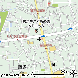 埼玉県春日部市藤塚2889周辺の地図