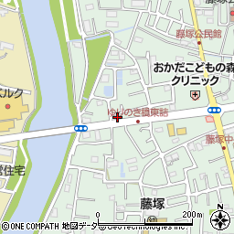埼玉県春日部市藤塚2869周辺の地図