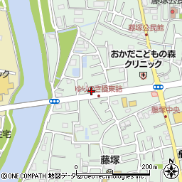 埼玉県春日部市藤塚2871周辺の地図