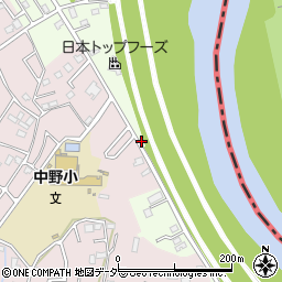 埼玉県春日部市新宿新田156周辺の地図