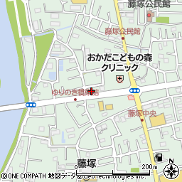 埼玉県春日部市藤塚2878周辺の地図