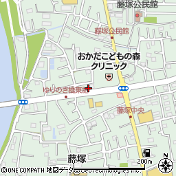 埼玉県春日部市藤塚2880周辺の地図