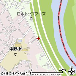埼玉県春日部市新宿新田157周辺の地図