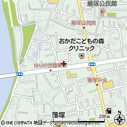 埼玉県春日部市藤塚2879周辺の地図