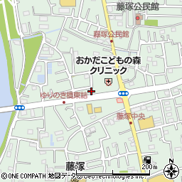 埼玉県春日部市藤塚2881周辺の地図